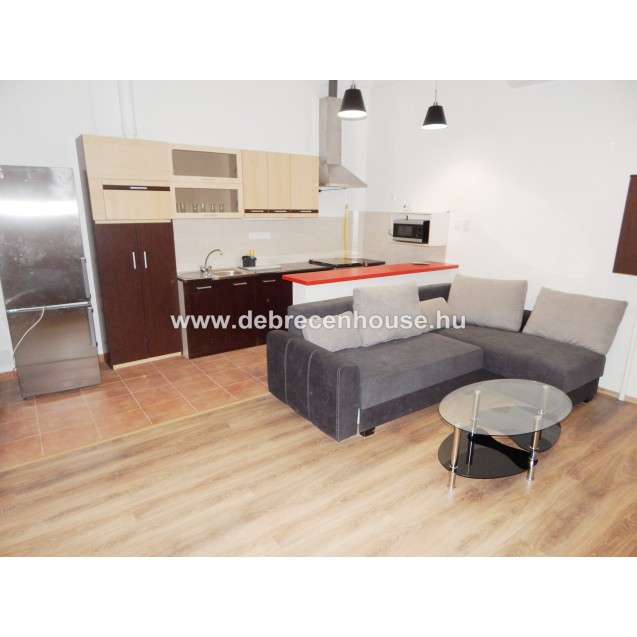American style living room with 2 bedrooms flat at city center for SALE. 39.9 m. Ft.