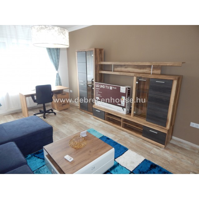 1 bedroom cozy flat,  newly furniture&household app.s next to Med. Uni. rent: 170K