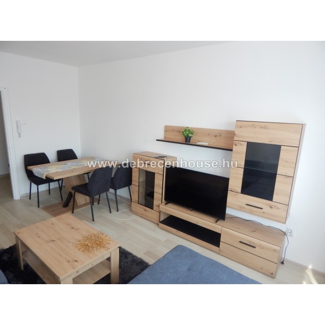 Brand new furniture, brand new household app.s, 1 bedroom, 1 study room next to Med.&Agri. uni. 170K